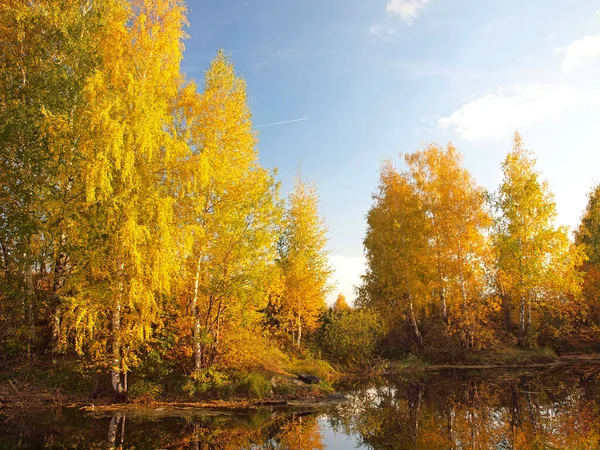 Parque Otoño Árboles Lago Naturaleza Rusa Otoño Rusia Ural Región Imagen De Stock