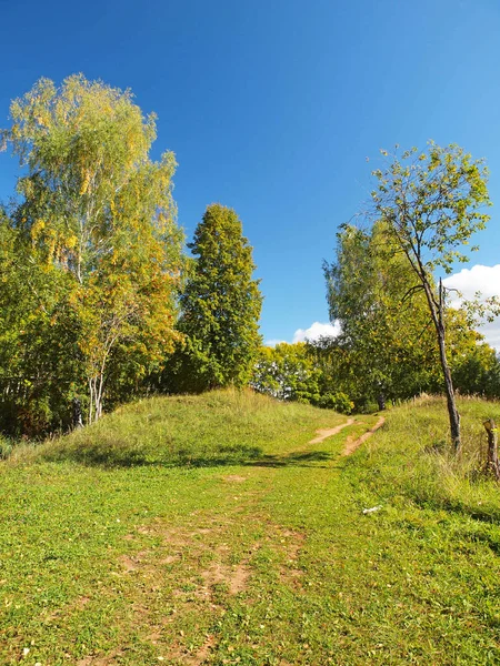 Yazın Park Rus Yaz Doğası Rusya Ural Perm Bölgesi — Stok fotoğraf