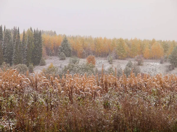 First snow. Autumn. Russia, Ural, Perm region