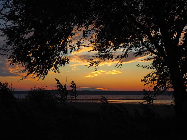 Zachód Słońca Nad Wielką Rzeką Piękne Niebo Drzewo Liście Latem — Zdjęcie stockowe