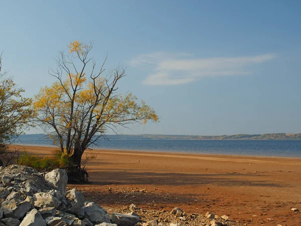 河边的树 俄罗斯秋天的自然 俄罗斯 乌拉尔 彼尔姆地区 — 图库照片