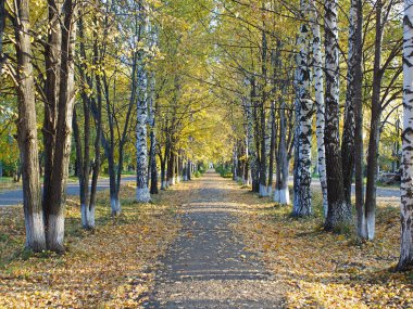 Sonbaharda eski bir sokak. Rus sonbahar doğası. Rusya, Ural, Perm bölgesi