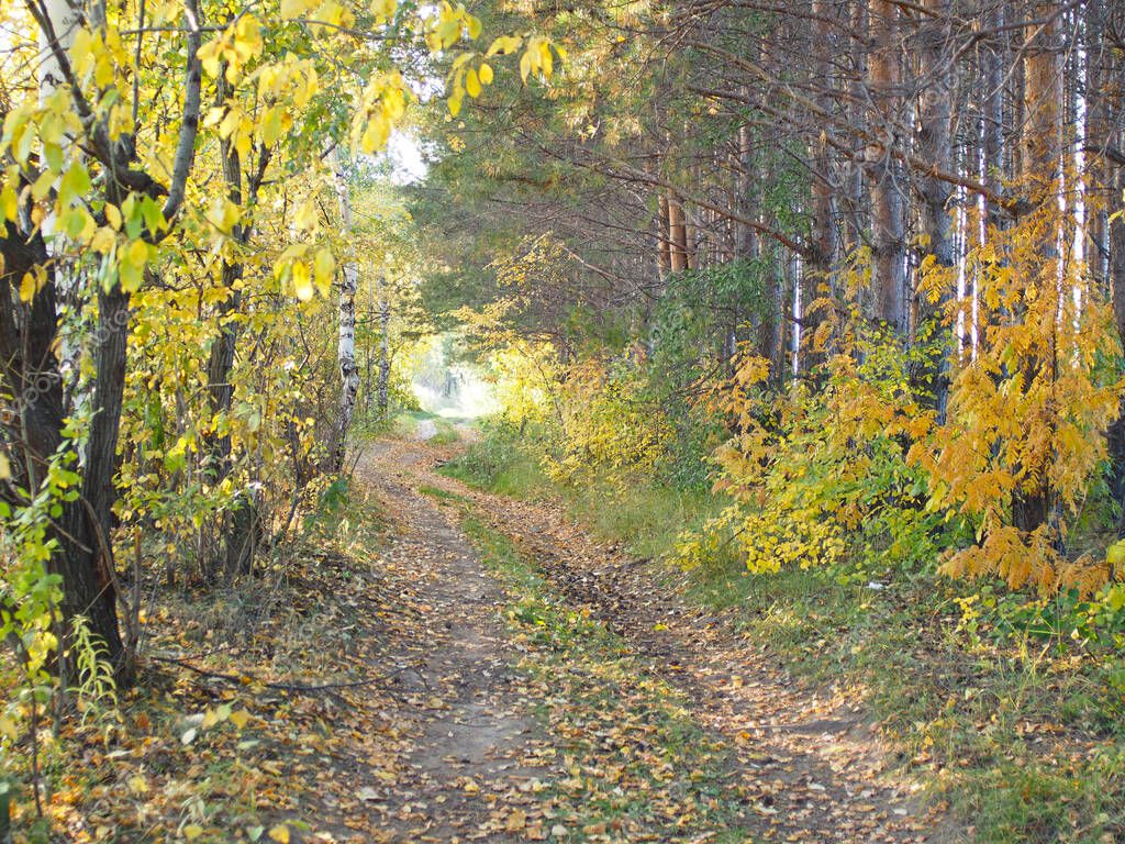 Фото Осенней Природы России