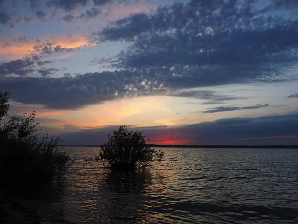 Puesta Sol Gran Río Hermoso Cielo Árbol Hojas Verano Rusia —  Fotos de Stock