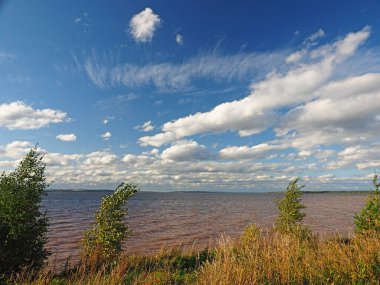 Nehir, sahil, ağaçlar. Güzel gökyüzü, bulutlar. Rus yaz doğası. Rusya, Ural, Perm bölgesi