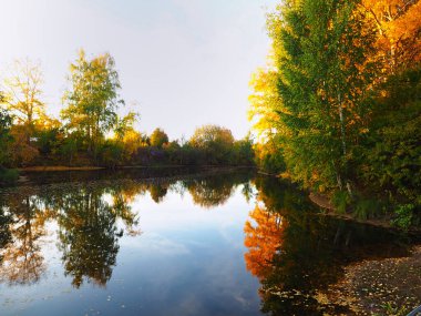 Sonbahar parkı, ağaçlar, nehir koyunda. Rus sonbahar doğası. Rusya, Ural, Perm bölgesi