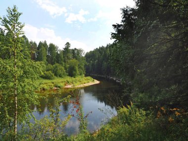 Dağ nehri, kayalar, orman. Rezerv, Rusya, Yekaterinburg, Sverdlovsk Bölgesi     