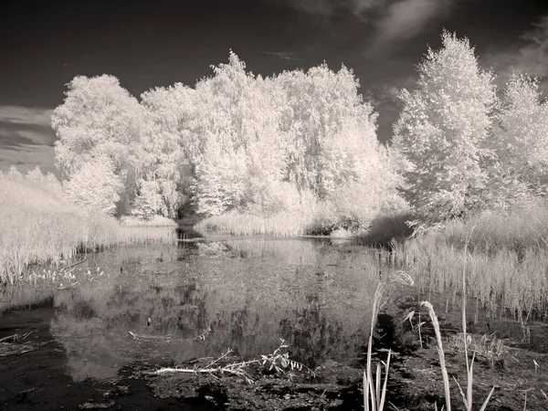 Lago Del Bosque Árboles Bosque Reflexiones Foto Roja Infrarrojos Otra —  Fotos de Stock