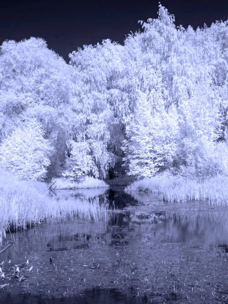 Lago Del Bosque Árboles Bosque Reflexiones Foto Roja Infrarrojos Otra —  Fotos de Stock