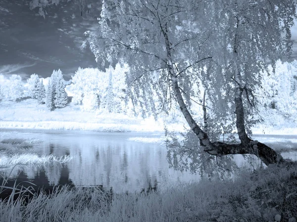 River Körfezi Ağaçlar Gökyüzü Yaz Kızıl Ötesi Fotoğraf Başka Bir — Stok fotoğraf