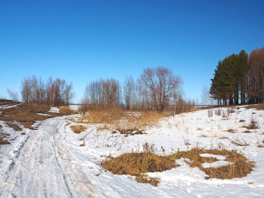 Spring Park, eriyen kar ve buz. Ağaçlar. Nehir buzun altında. Rus bahar doğası. Rusya, Ural, Perm Bölgesi