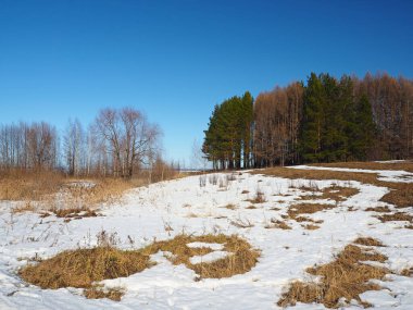 Spring Park, eriyen kar ve buz. Ağaçlar. Nehir buzun altında. Rus bahar doğası. Rusya, Ural, Perm Bölgesi