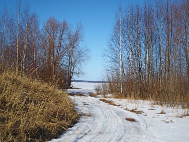 Spring Park, eriyen kar ve buz. Ağaçlar. Nehir buzun altında. Rus bahar doğası. Rusya, Ural, Perm Bölgesi