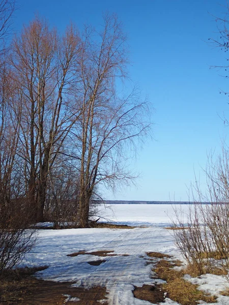 春の公園 融雪雪や氷 川は氷の下にある ロシアの春の自然 ロシア ウラル ペルミ地方 — ストック写真