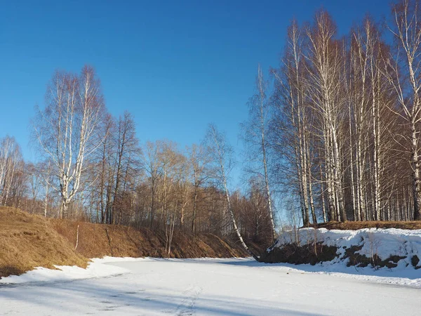 Spring Park Smeltende Sneeuw Ijs Bomen Berken Rivier Ligt Onder — Stockfoto