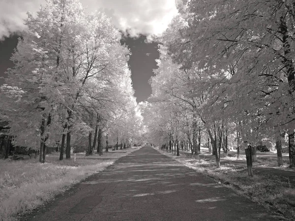 Callejón Pueblo Pequeño Foto Roja Infrarrojos Otra Visión Rusia Ural —  Fotos de Stock