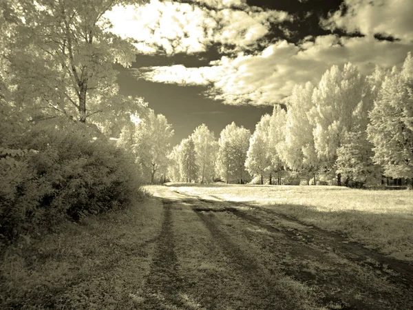 Árboles Parque Foto Roja Infrarrojos Otra Visión Rusia Ural Región — Foto de Stock