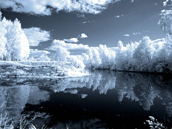 River bay. The trees. Sky. Summer. Infra red photo. Another vision. Russia, Ural, Perm Region