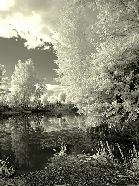 River bay. The trees. Sky. Summer. Infra red photo. Another vision. Russia, Ural, Perm Region