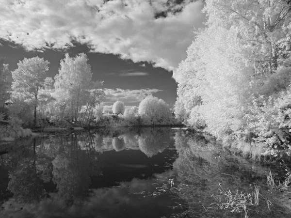 Baia Fluviale Gli Alberi Cielo Estate Foto Infrarossi Altra Visione — Foto Stock