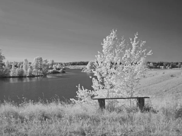 River bay. The trees. Sky. Bench. Summer. Infra red photo. Another vision. Russia, Ural, Perm Region