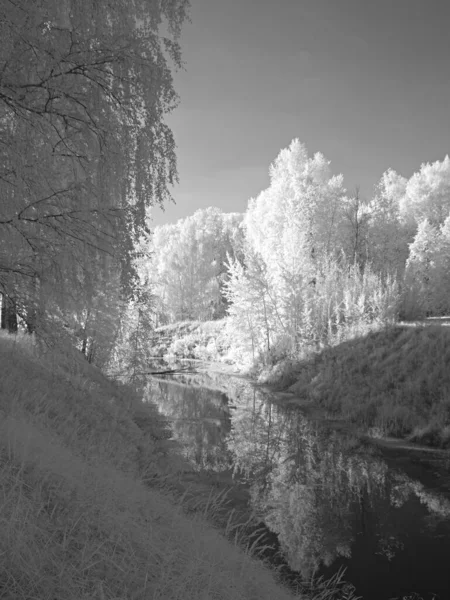 River bay. The trees. Sky. Summer. Infra red photo. Another vision. Russia, Ural, Perm Region