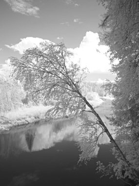Doğa rezervi. Uralların doğası. Dağ manzaraları. Kızıl ötesi fotoğraf. Başka bir görüntü. Rusya, Ural, Sverdlovsk bölgesi