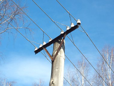 Eski Sovyet, Rus telgraf direği. Ağaç dalları, bahar. Rusya, Ural