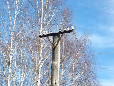 Eski Sovyet, Rus telgraf direği. Ağaç dalları, bahar. Rusya, Ural