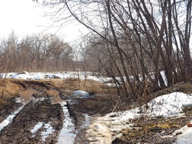 Baharda orman yolu. Çamur, su birikintileri, ağaçlar. Rus bahar doğası. Rusya, Ural, Perm Bölgesi