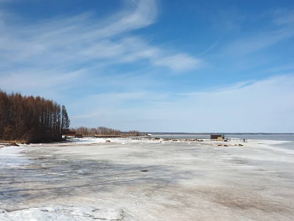 Riverbank Met Bomen Rivier Ligt Onder Het Ijs Russische Lente — Stockfoto