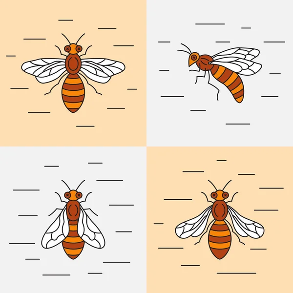 Lineární ikony včel. — Stockový vektor