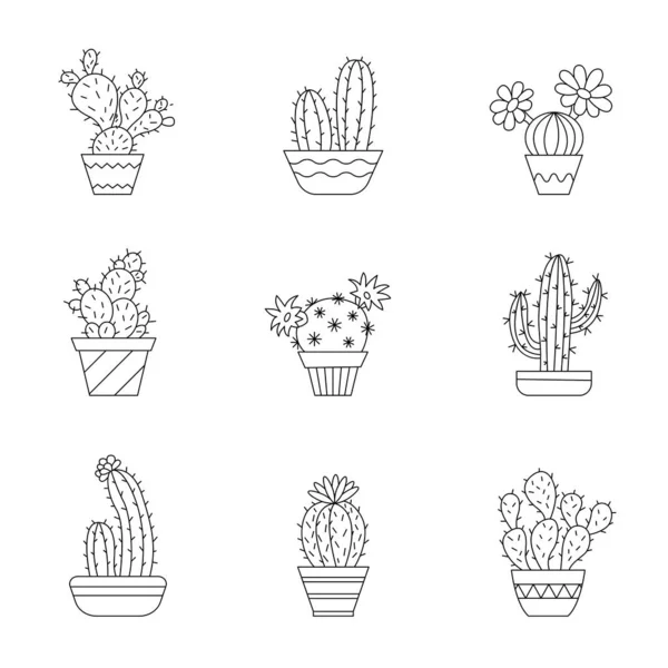 Cactussen in potten. — Stockvector