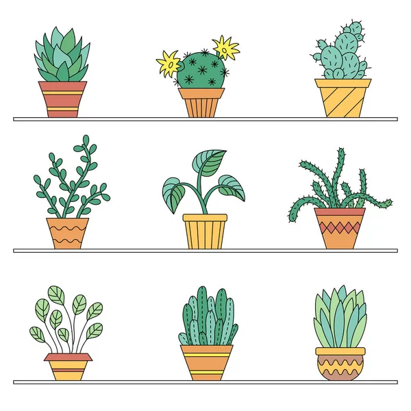 Symbole Topfpflanzen. — Stockvektor