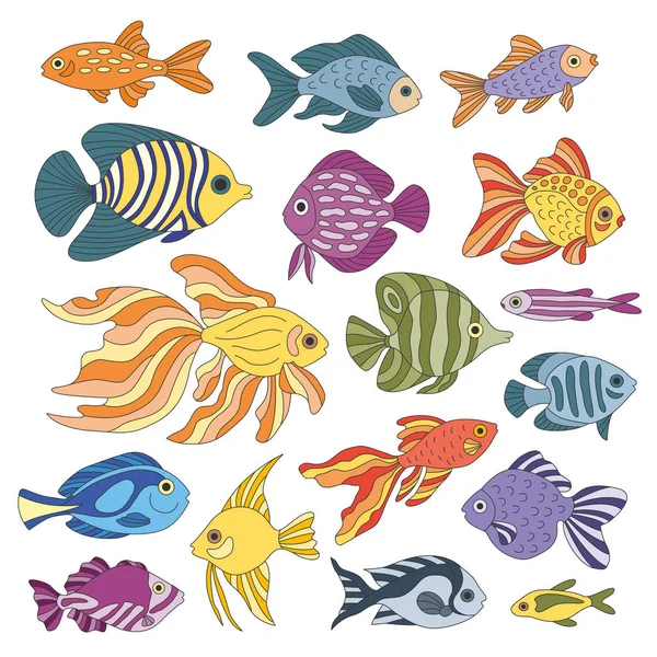 Karışık balık seti..