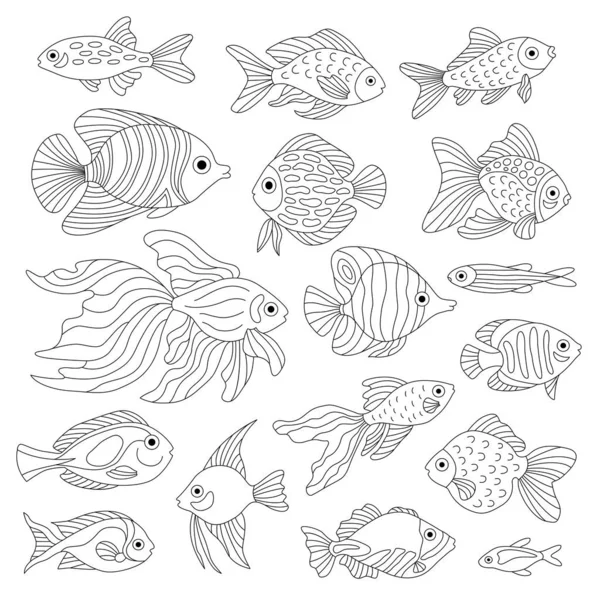 Bir çift şirin balık..