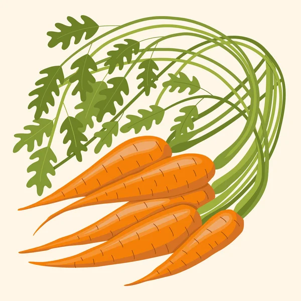 Carota nel fascio . — Vettoriale Stock