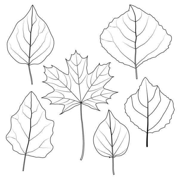 Icons tree leaves. — Stock Vector