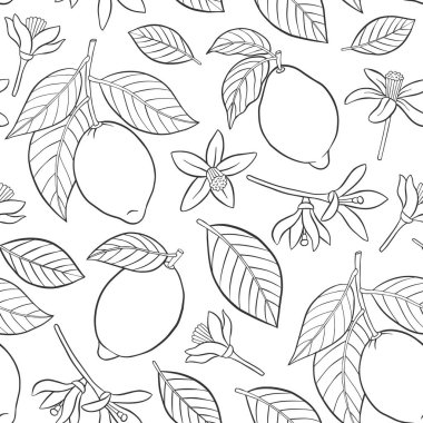 Yaprakları ve çiçekleri olan limonlar..