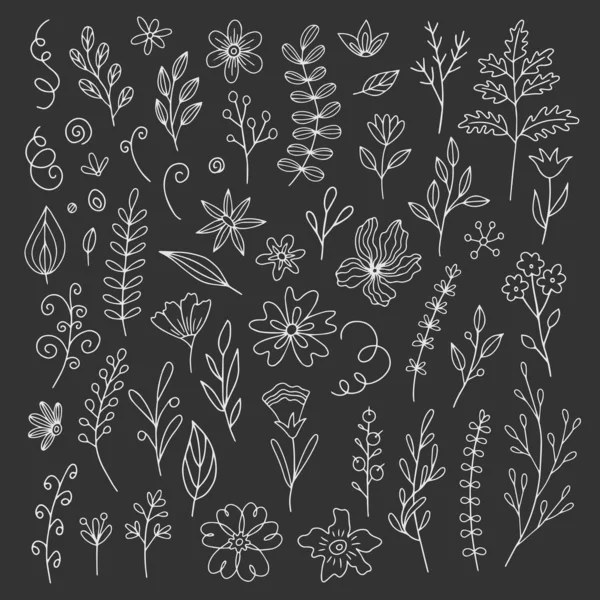 Conjunto de elementos lineales vegetales . — Archivo Imágenes Vectoriales
