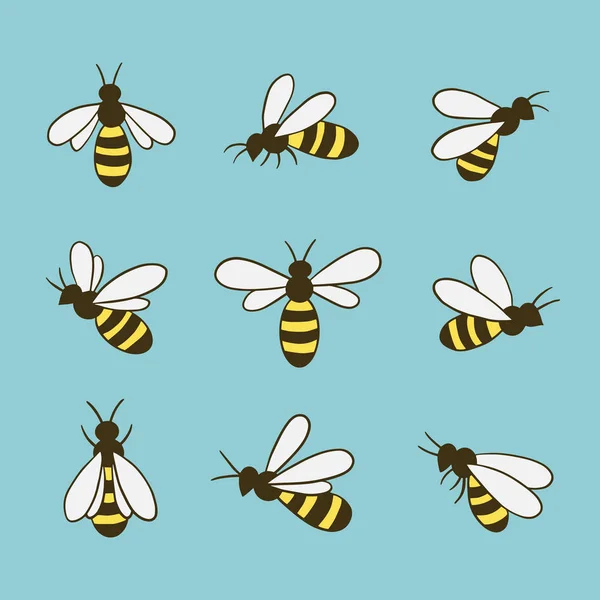 Arı simgeleri ayarlandı. Düz stil. Vektör illüstrasyonu.