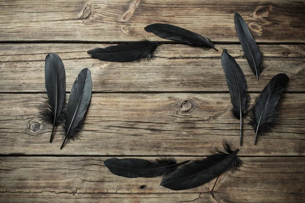 black feather on old wooden background