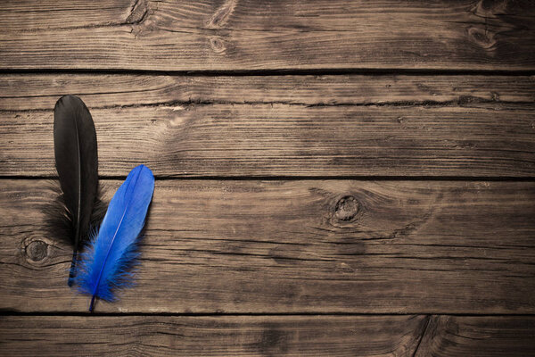 black and blue  feathers on old wooden background 
