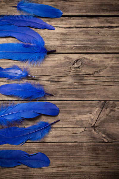 blue  feathers on old wooden background 