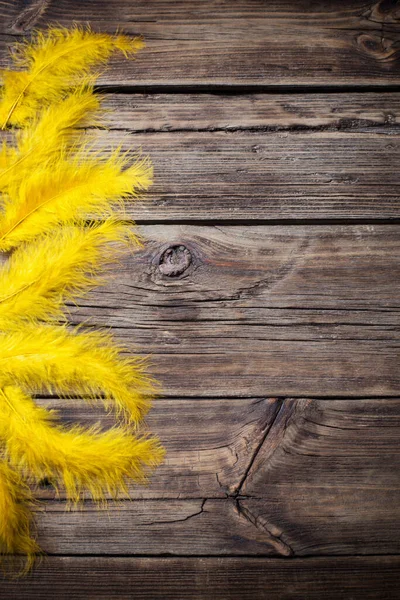 Yellow  feathers on old wooden background — Stock Photo, Image