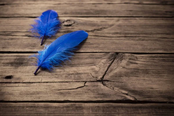 blue  feathers on old wooden background