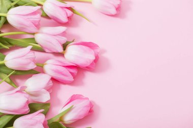 Pembe arka planda güzel pembe laleler