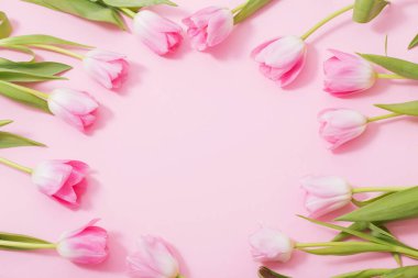 Pembe arka planda güzel pembe laleler