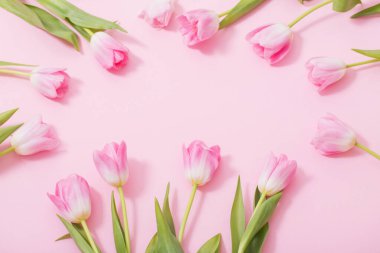 Pembe arka planda güzel pembe laleler