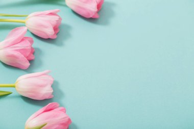 Mavi nane arkaplanda güzel pembe laleler